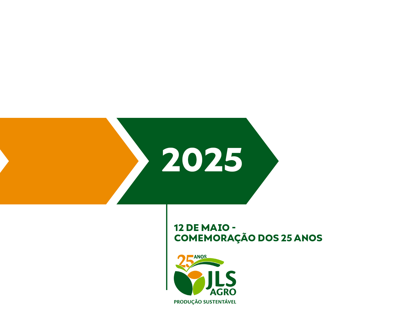 Linha-do-tempo_01_06
